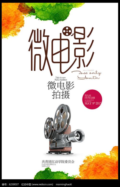 布林莫尔学院证书